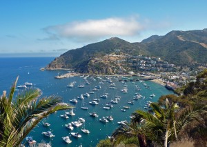 Catalina-Island-California